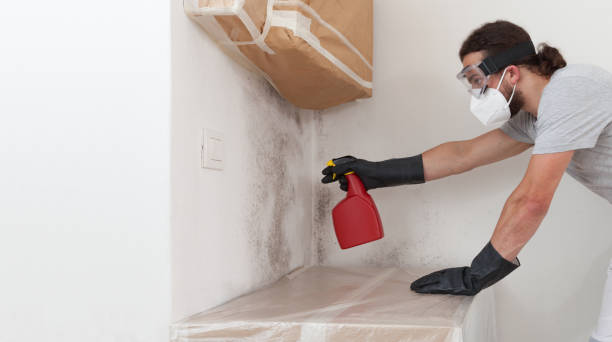 Professional Mold Testing technician working in Warrenton, OR